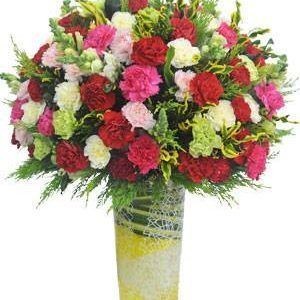 Hoa Bình Hoa Sinh Nhật Hoa Chúc Mừng Lễ Tình Nhân Thông reo