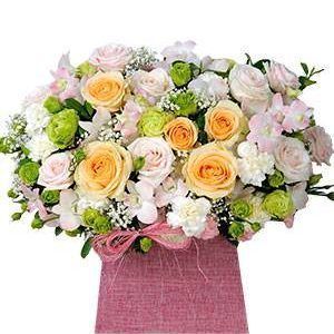 HOA HỘP TRỌN VẸN BÊN NHAU