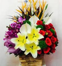 (Tiếng Việt) Hoa Sinh Nhật – Vươn Xa